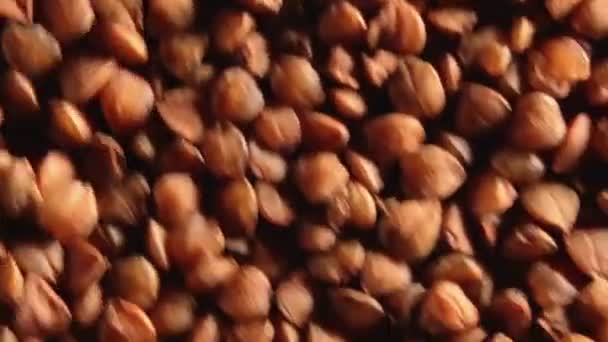 Uncooked Brown Buckwheat Groats, Rotating Background - Top View — Stock Video