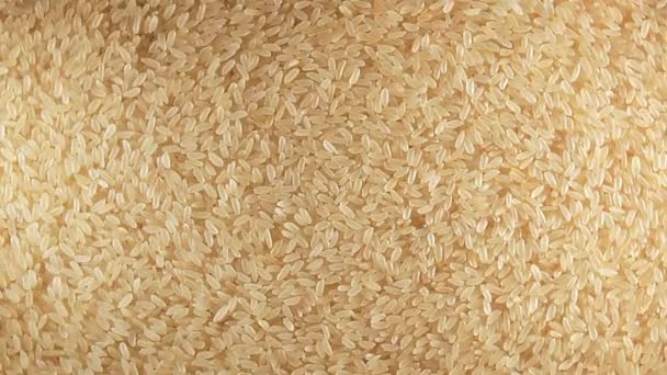 Άψητο μακρόσπερμο βρασμένο ρύζι, περιστρεφόμενο φόντο - Top View — Αρχείο Βίντεο