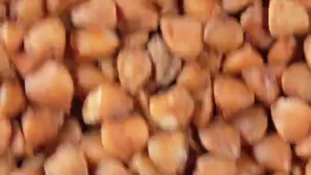 Grañones de trigo sarraceno sin cocer, moviendo fondo - Vista superior — Vídeo de stock