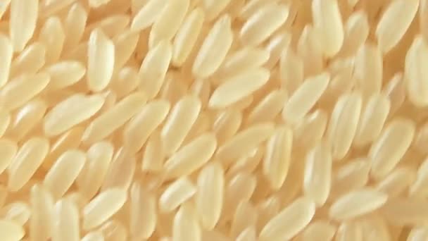 Arroz cocido de grano largo sin cocer, fondo giratorio - Vista superior — Vídeo de stock