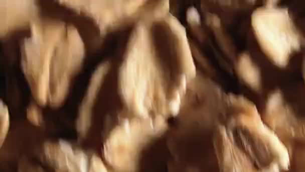 Flocons d'avoine, arrière-plan mobile - Vue du dessus — Video