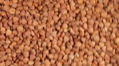 Kuru pişmemiş kahverengi karabuğday büyür arka plan yukarı doğru hareket eder - Top View. Çiğ Büyük Karabuğday Taneleri. Rus, Ukrayna ve Beyaz Rusya Kültürü