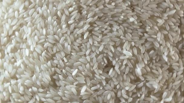 Dry Uncooked White Rice Background Rotating Left Top View Low — Vídeo de Stock