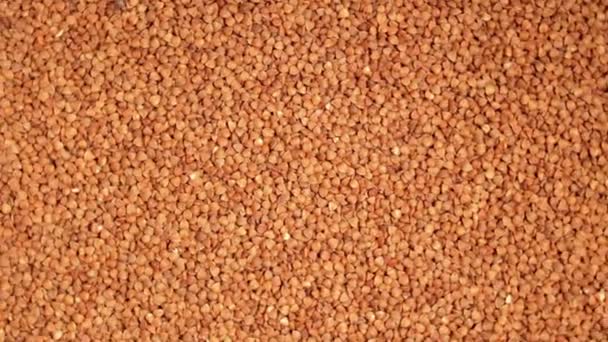 Dry Uncooked Brown Buckwheat Groats Slowly Rotating Background Top View — Stock video