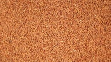 Kuru pişmemiş kahverengi karabuğday tarlaları, döner arka plan - Top View. Çiğ Büyük Karabuğday Taneleri. Rus, Ukrayna ve Beyaz Rusya Kültürü. Sağa Döndür