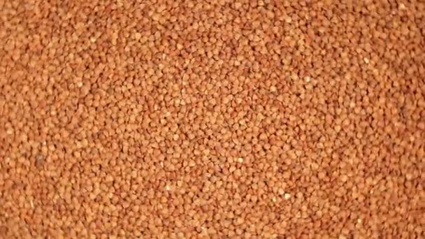 Dry Uncooked Brown Buckwheat Groats Rotating Background Top View Raw — Αρχείο Βίντεο