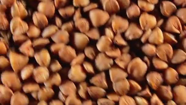 Dry Uncooked Brown Buckwheat Groats Rotating Clockwise Top View Close — Vídeo de stock