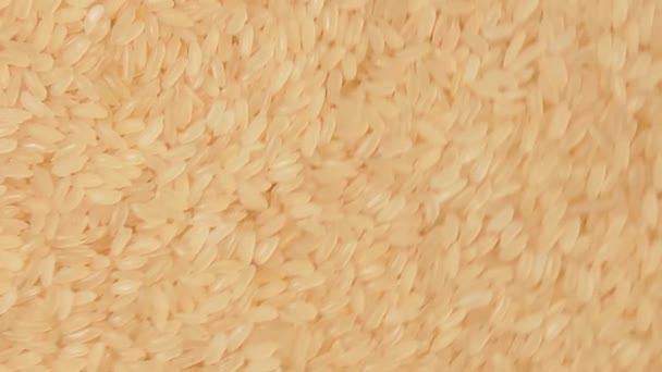 Dry Uncooked Parboiled Rice Background Rotating Clockwise Top View Scattered — Stok video