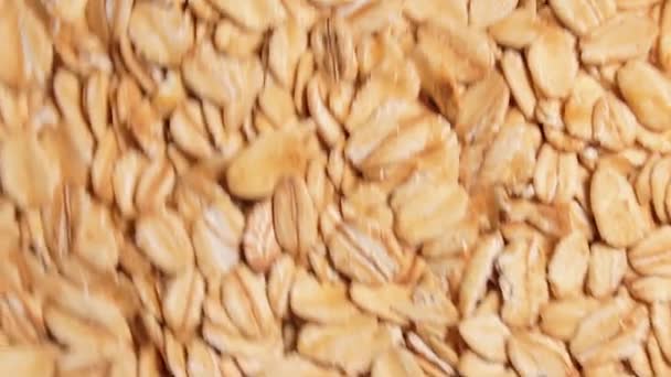 Oat Flakes Background Slowly Moving Downward Top View Scattered Dry — Video Stock