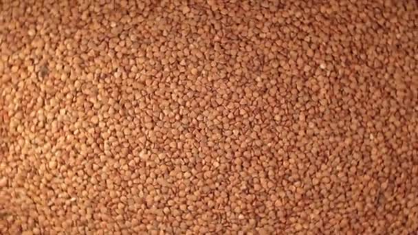 Dry Uncooked Brown Buckwheat Groats Rotating Background Top View Raw — Vídeos de Stock