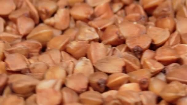 Dry Uncooked Brown Buckwheat Groats Rotating Macro Raw Large Buckwheat — 图库视频影像