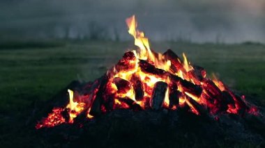 Big Campfire is Burning Down in Early Morning. Wood on Fire. Flying Sparks. Travel and Tourism Concept. Remains of a Giant Bonfire at Summer - Static Shot, Slow Motion