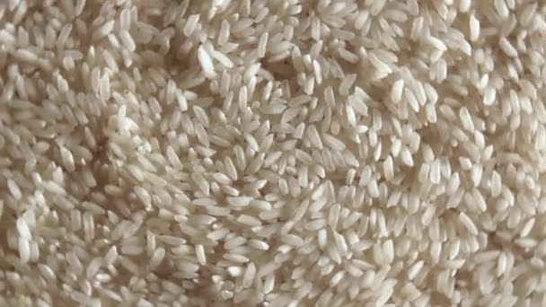 Dry Uncooked White Rice Background Rotating Left Top View Low — Stok video