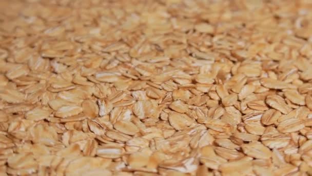 Uncooked Oat Flakes Rotating Scattered Dry Raw Oat Flakes Healthy — ストック動画