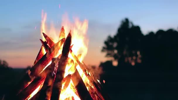 Blue Sky Karşı Yaz Gecesinde Büyük Yanan Kamp Ateşi Ateşe — Stok video