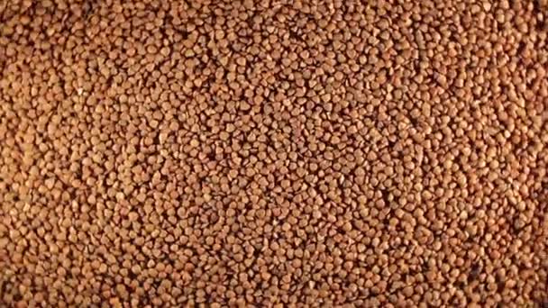 Dry Uncooked Brown Buckwheat Groats Rotating Background Top View Low — Wideo stockowe