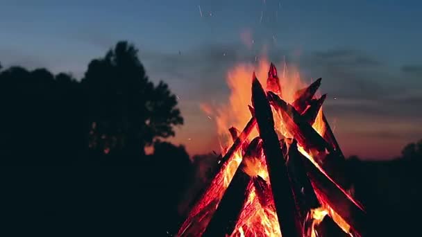 Big Burning Campfire Summer Evening Blue Sky Wood Fire Flying — Wideo stockowe