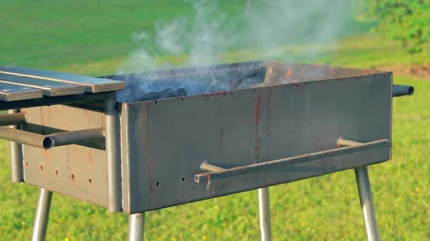 Burning Fire Smoke Empty Brazier Summer Daytime Outdoors Preparing Barbecue – Stock-video