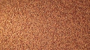 Dry Uncooked Brown Buckwheat Groats, Slowly Rotating Background - Top View. Raw Large Buckwheat Grains. Russian, Ukrainian and Belarusian Culture. Rotation Left