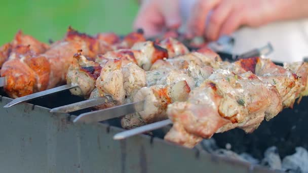 Man Cooking Pork Barbecue Summer Daytime Outdoors Close Static Shot — Vídeo de Stock
