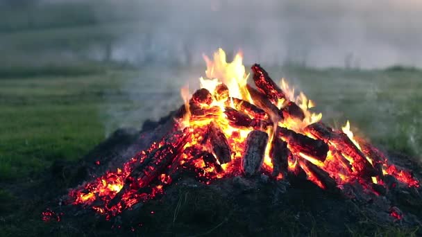 Big Campfire Burning Early Morning Wood Fire Flying Sparks Travel — Stok video