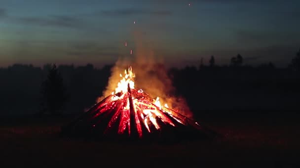 Big Burning Campfire Early Morning Evening Blue Sky Wood Fire — Wideo stockowe
