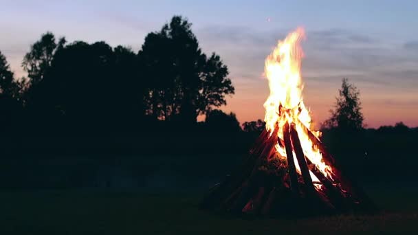 Big Burning Campfire Summer Evening Blue Sky Wood Fire Flying — 图库视频影像