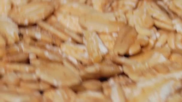 Uncooked Oat Flakes Rotating Macro Scattered Dry Raw Oat Flakes — Video Stock