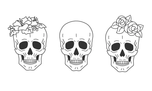 Totenschädel Die Linear Ausgeführt Werden Einige Von Ihnen Sind Mit — Stockvektor