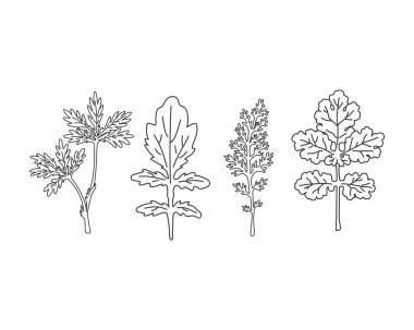 Doğrusal kır çiçekleri seti. El çizimi çiçekler ve yapraklar. Vektör illüstrasyonu