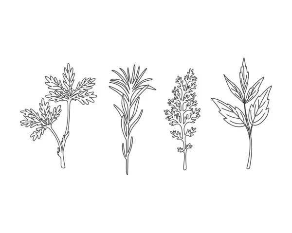 Dessiner Main Des Fleurs Sauvages Des Herbes Illustration Vectorielle — Image vectorielle