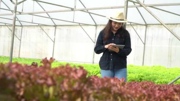 Asiatiska Kvinnor Som Håller Grön Hydroodlade Grönsaksgårdar Och Kontrollerar Roten — Stockvideo