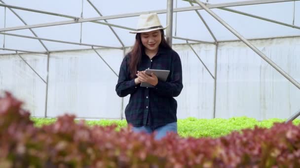 Asiatiska Kvinnor Som Håller Grön Hydroodlade Grönsaksgårdar Och Kontrollerar Roten — Stockvideo