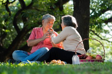 Yaşlı ve mutlu eşler parkta bir battaniyenin üzerinde dinleniyor ve çok az değerli anılarını paylaşıyorlar. Son sınıf çifti piknikte harika vakit geçiriyorlar. Olgun ilişkiler kavramı