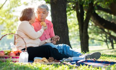 Yaşlı ve mutlu eşler parkta bir battaniyenin üzerinde dinleniyor ve çok az değerli anılarını paylaşıyorlar. Son sınıf çifti piknikte harika vakit geçiriyorlar. Olgun ilişkiler kavramı