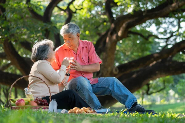 Happy Old Elderly Couple Spouses Relaxing Sitting Blanket Park Sharing — Stock Photo, Image