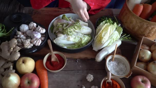 Les Femmes Asiatiques Portant Des Costumes Traditionnels Coréens Hanbok Saupoudrer — Video