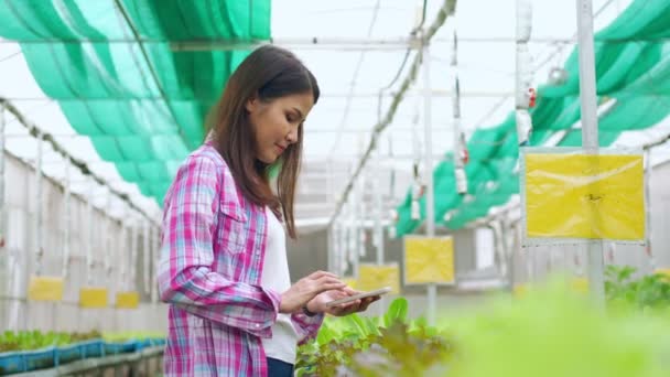 温室内の有機農場で収穫する前に お客様に新鮮な野菜サラダの写真を送るためにスマートフォンを使用して幸せなアジアの女性農家 健康のための有機農業の概念 — ストック動画