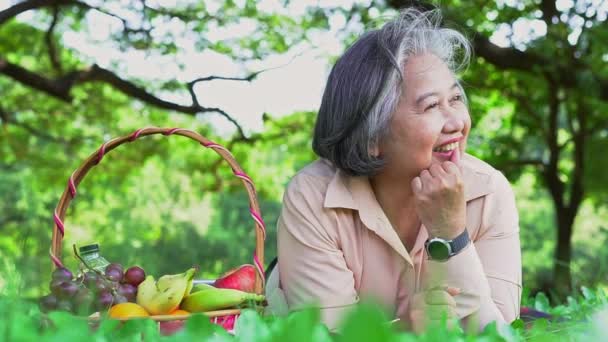 快乐的亚洲老妇人 戴着健康手表 躺在公园的野餐垫子上 还有一篮子水果 退休后幸福老年妇女与健康的概念 — 图库视频影像