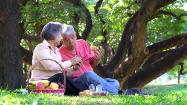 Yaşlı ve mutlu eşler parkta bir battaniyenin üzerinde dinleniyor ve çok az değerli anılarını paylaşıyorlar. Son sınıf çifti piknikte harika vakit geçiriyorlar. Olgun ilişkiler kavramı