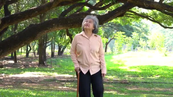 老年妇女使用手杖帮助行走平衡 并在公园行走 患骨质疏松症和骨质疏松症 原因是缺乏钙 家庭概念健康保险 — 图库视频影像