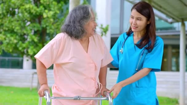 Asian Careful Caregiver Nurse Taking Care Elderly Asian Patient Wheelchair — Stock Video