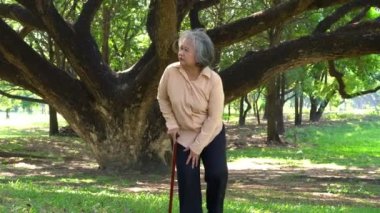 Yaşlı bir kadın dengesini sağlamak için baston kullanıyor ve kalsiyum eksikliğinden dolayı Park, Osteoartrit ve osteoporoz 'da yürüyor. Aile için sağlık sigortası kavramı.