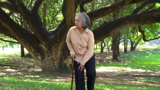 Пожилая Женщина Использует Трость Помочь Балансировать Ходить Парке Остеоартрит Остеопороз — стоковое видео
