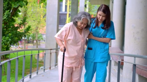 Doctor Help Old Elderly Asian Woman Uses Walker Walking Physical — Stock Video