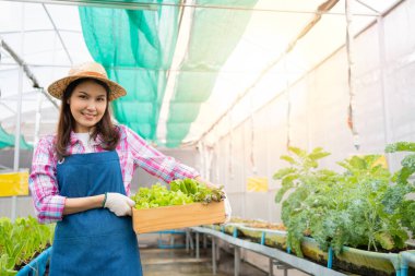 Mutlu Asyalı kadın çiftçinin portresi, bir sera bahçesindeki organik bir çiftlikte taze sebze salatası sepeti, sağlık için organik tarım kavramı, vegan gıda ve küçük işletmeler..