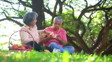Yaşlı ve mutlu eşler parkta bir battaniyenin üzerinde dinleniyor ve çok az değerli anılarını paylaşıyorlar. Son sınıf çifti piknikte harika vakit geçiriyorlar. Olgun ilişkiler kavramı