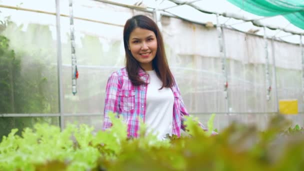 一个快乐笑容满面的亚洲女农场主的画像 在温室花园的有机农场展示她的大拇指 有机农业促进健康的概念 健康的食物 — 图库视频影像