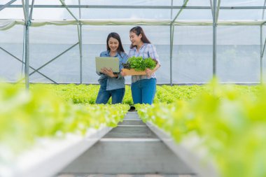Asyalı kadın çiftçi organik bir çiftlikte sebze salatası tutuyor ve müşteri siparişini kontrol etmek için dizüstü bilgisayar kullanıyor. Sağlık için organik tarım kavramı ve küçük işletmeler.