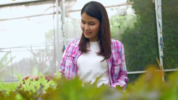 幸せなアジアの女性農家の肖像と温室の庭で有機農場で害虫を見つけるための新鮮な野菜サラダをチェック 健康のための有機農業の概念 ビーガンフード — ストック動画